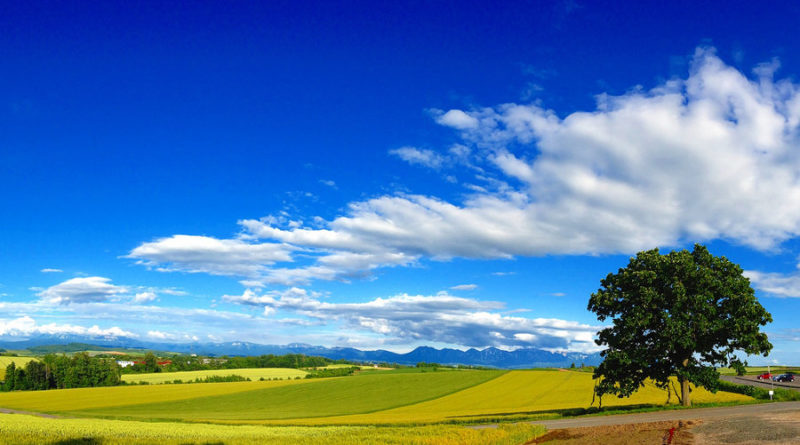 hokkaido campo japon