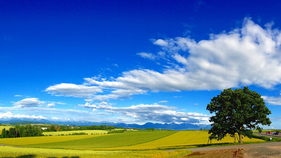 hokkaido campo japon